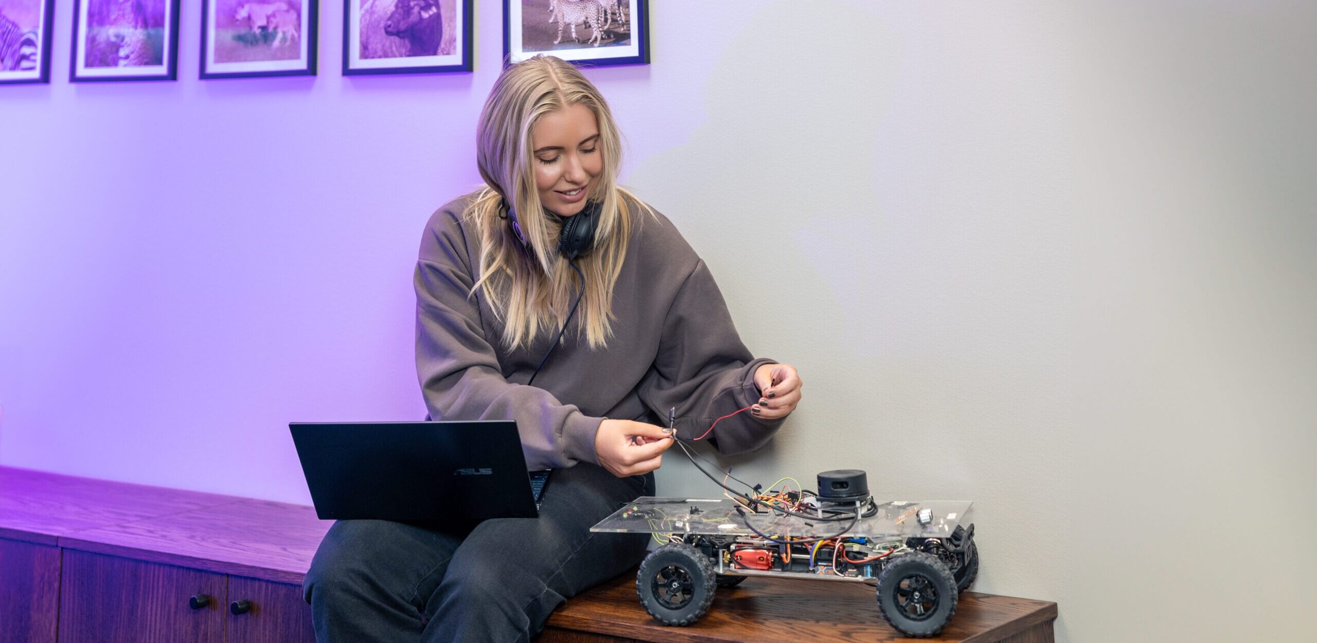 Ictech bidrar med expertis inom systemarkitektur och mjukvaruutveckling